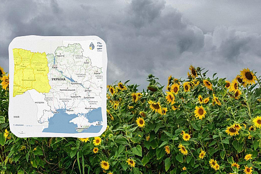 Негода крокує Україною: синоптики оголосили попередження у 10 областях - we.ua