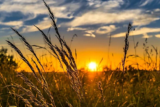 В Україні 10 серпня очікується мінлива хмарність, дощі на південному сході - we.ua