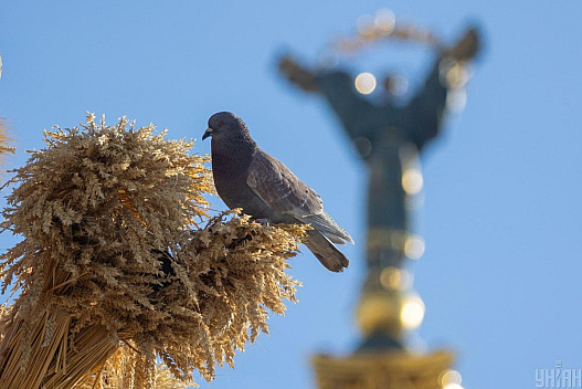 14 серпня у Києві буде останній свіжий день перед потеплінням - we.ua