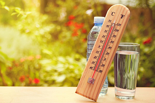 Після короткого похолодання Україну накриє +38°: прогноз синоптика - we.ua