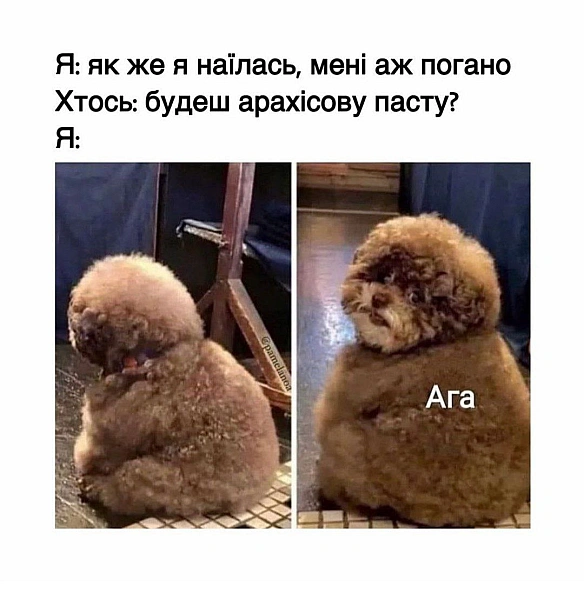 #мем #вкрадено - їж, читай, смійся на we.ua
