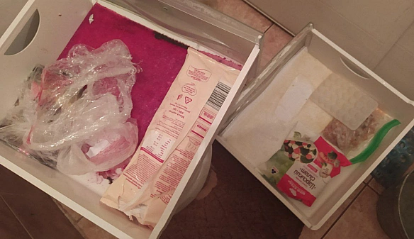 Шок! В Києві було викрито підпільну біолабораторію! 😱(рожеве то не підстилка, то калюжа) - їж, читай, смійся на we.ua