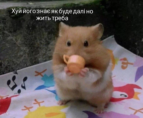 Кардинальний Рішельє на we.ua