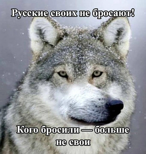Кардинальний Рішельє на we.ua