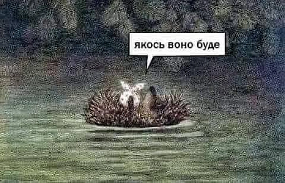 РСН ПЗД - Кардинальний Рішельє на we.ua