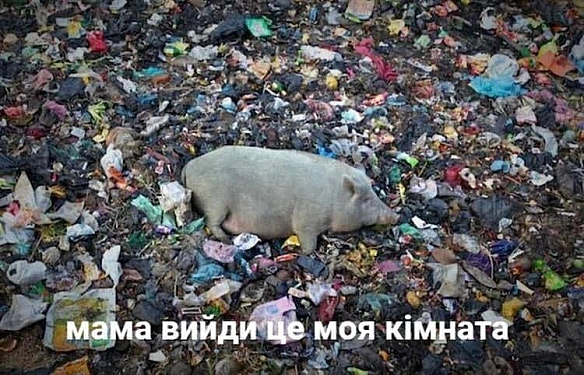 Кардинальний Рішельє на we.ua