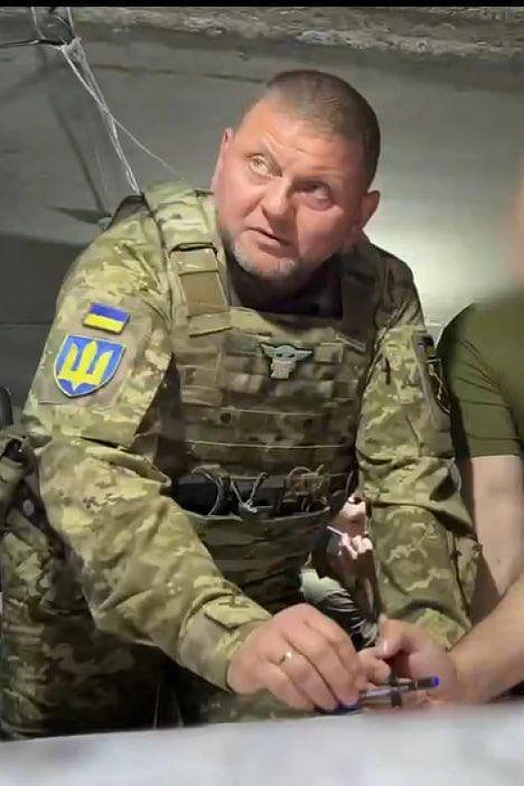 А про Залужного є пісні?Він прекрасний наш Майстер Йода. - Територія А на we.ua