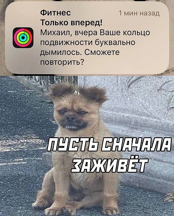 Кардинальний Рішельє на we.ua