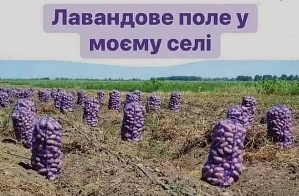 Кардинальний Рішельє на we.ua
