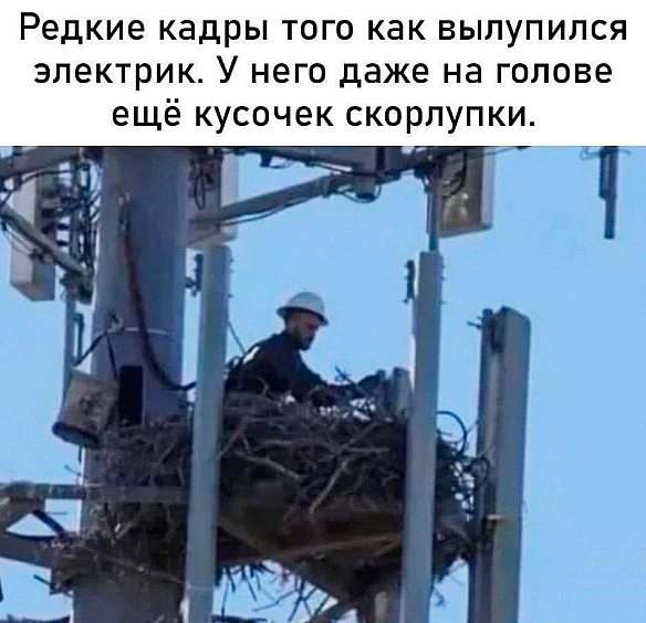 Кардинальний Рішельє на we.ua