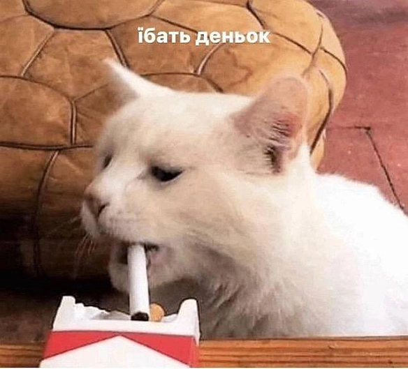 Кардинальний Рішельє на we.ua