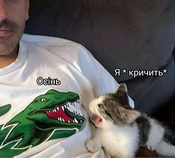 Кардинальний Рішельє на we.ua