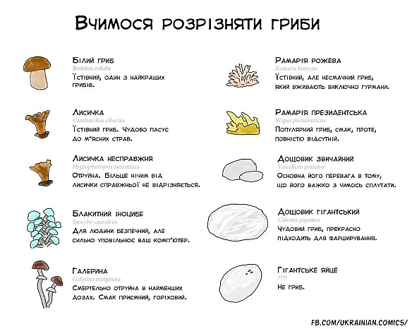 Комікси українською на we.ua