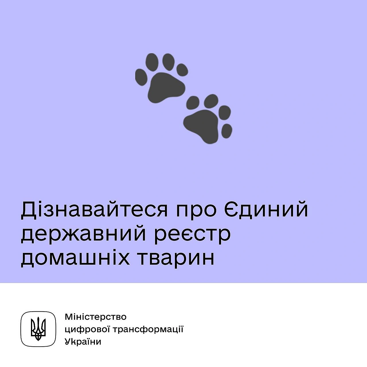 😺 Як працюватиме Єдиний державний реєстр домашніх тварин — дізнайтеся на брифінгуУряд ухвалив постанову щодо створення Єдиного... - Мінцифра на we.ua