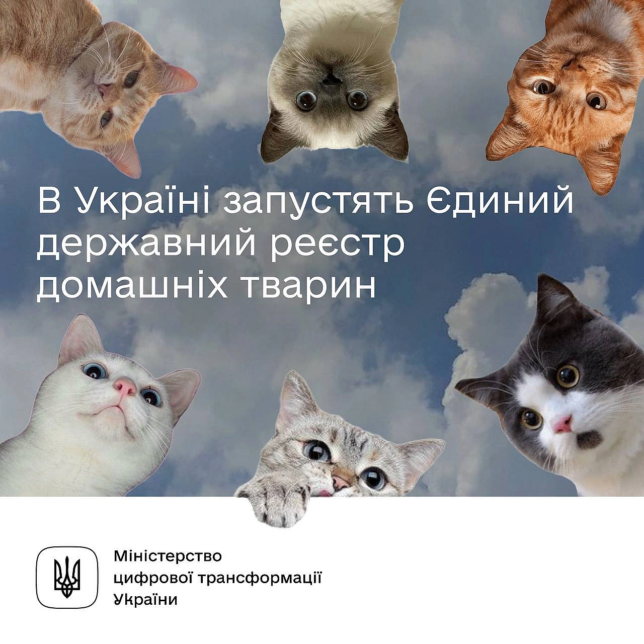 🐶 Наближаємося до цифрових ветеринарних паспортів. В Україні запустять Єдиний державний реєстр домашніх тваринУряд ухвалив від... - Мінцифра на we.ua