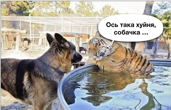 Кардинальний Рішельє на we.ua