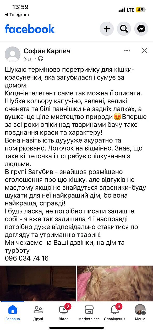 Шукаємо перетримкудеталі тут - 🌱 Веганський Тернопіль на we.ua