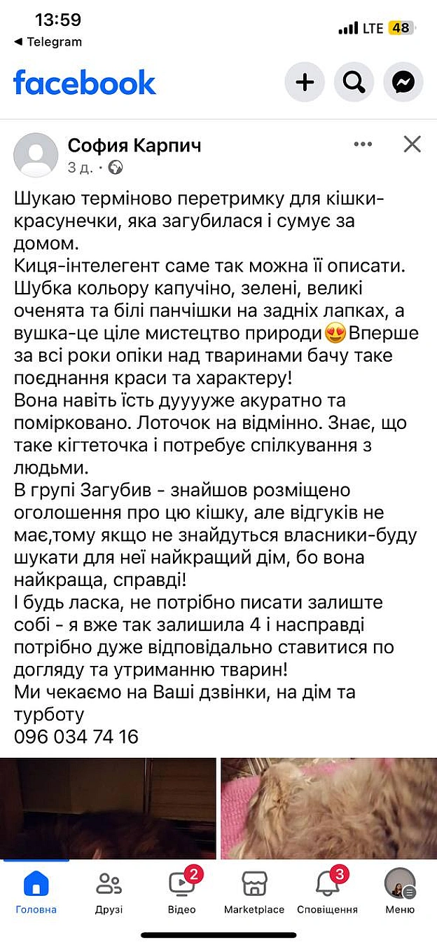 Шукаємо перетримкудеталі тут - 🌱 Веганський Тернопіль на we.ua