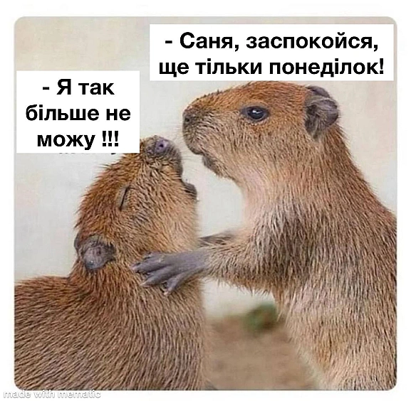 Кардинальний Рішельє на we.ua