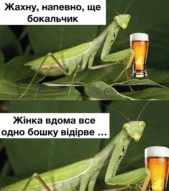 Кардинальний Рішельє на we.ua