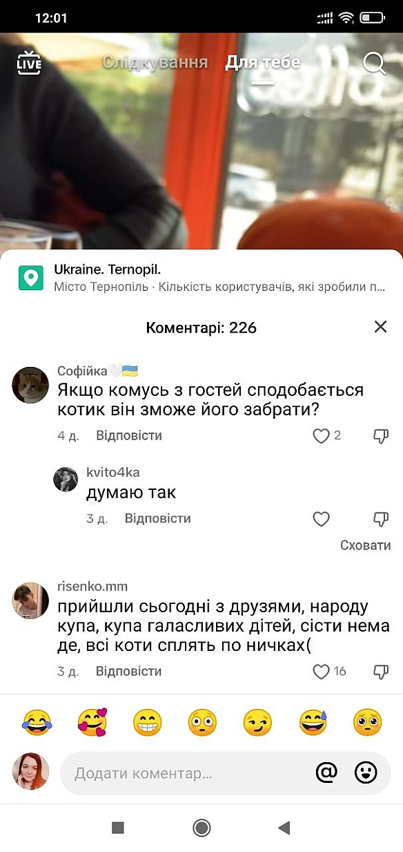 Я не буду рекламувати котокафе, бо власне я вже кинула скаргу на те 