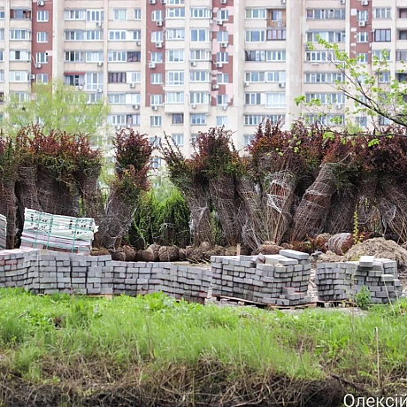 Київ продовжує перетворюватися: 