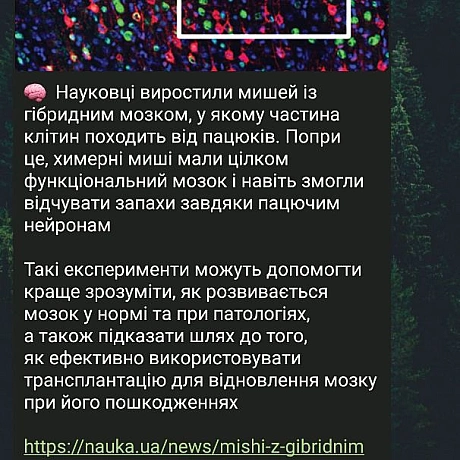Я можу бути і добра і зла, це лише призма через яку мене бачатьА в душі я просто веганка яка не замовкає - 🌱 Веганський Тернопіль на we.ua