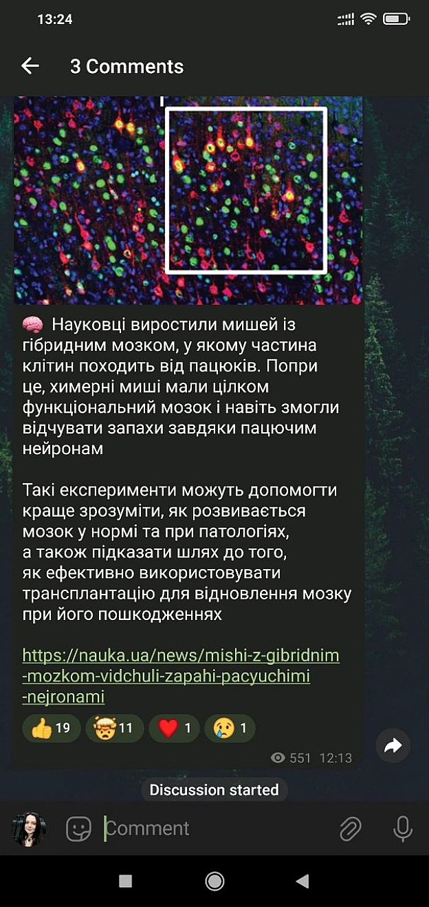 Я можу бути і добра і зла, це лише призма через яку мене бачатьА в душі я просто веганка яка не замовкає - 🌱 Веганський Тернопіль на we.ua