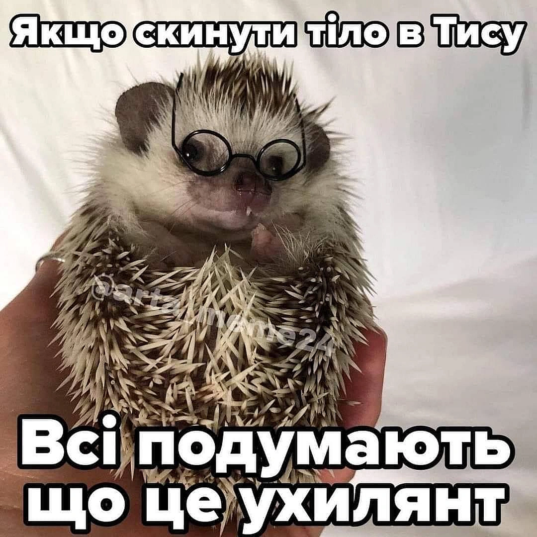 Кардинальний Рішельє на we.ua