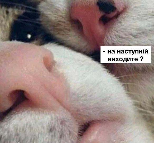 Кардинальний Рішельє на we.ua