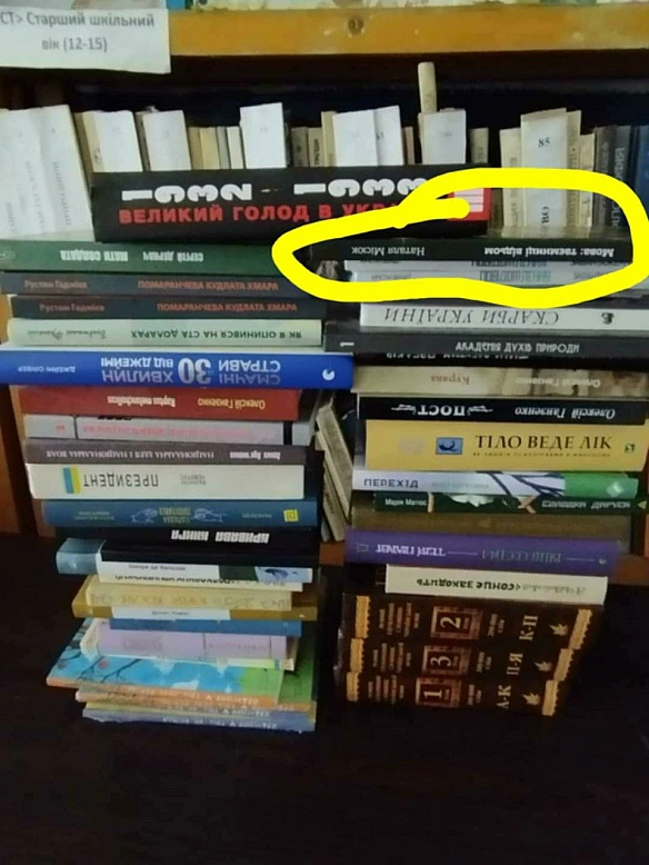 Пам'ятаєте ми з вами збирали гроші на книжку 