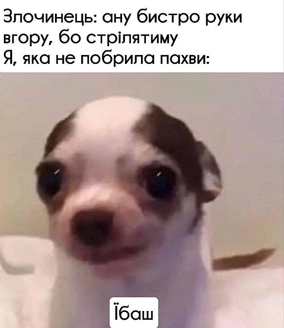 Кардинальний Рішельє на we.ua