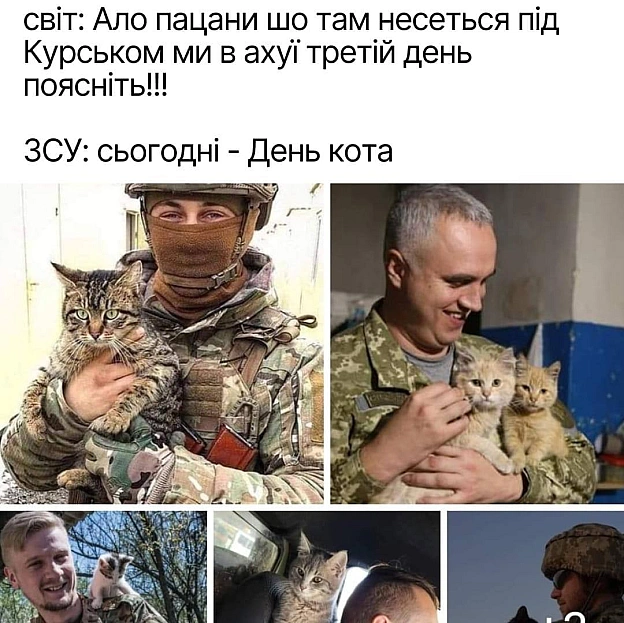 Сьогодні Міжнародний день котів. А також котиків із ЗСУ. Добраніч!@memargam - МЕМАГРАМ на we.ua