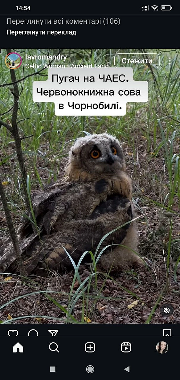 Зараз буде текст про те чому все таки веган_ки кращі за