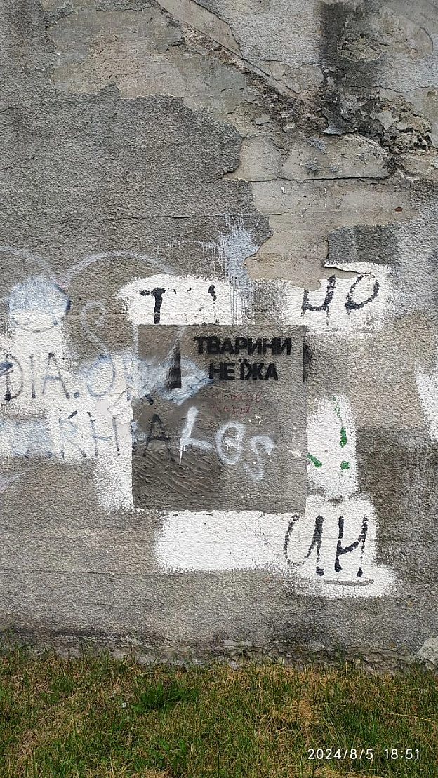 Стіна істини - 🌱 Веганський Тернопіль на we.ua