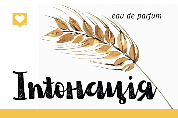 Кажуть, що найкращий успіх — це зароблений своєю працює та талантами.Ось ви заходите в новенький будинок і знаєте, що купили й... - Давай займемось текстом on we.ua