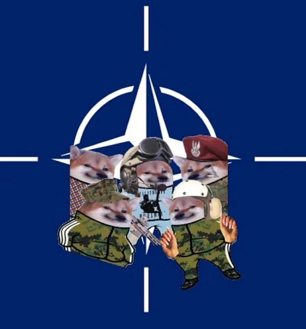 Офіційне NAFO-пиво від української броварні Pravda та американської Aeronaut. NAFO-спільнота (North Atlantic Fella Organizati... - WTF! на we.ua