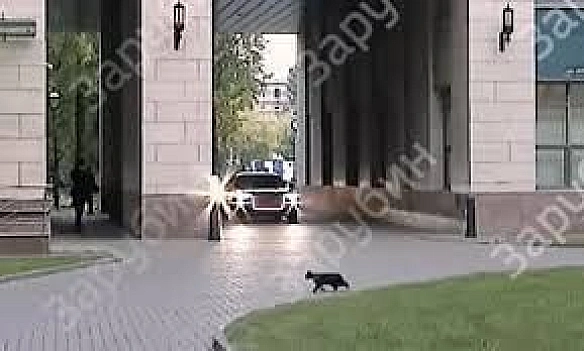 Пропагандист з каналу \