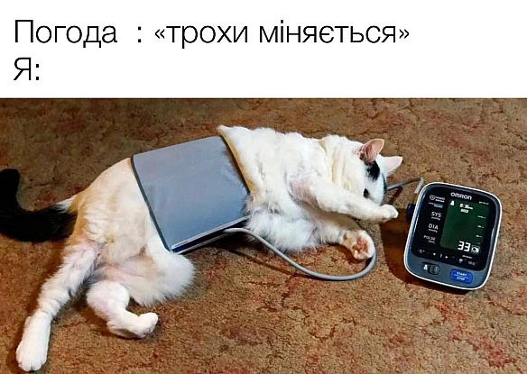 Кардинальний Рішельє на we.ua