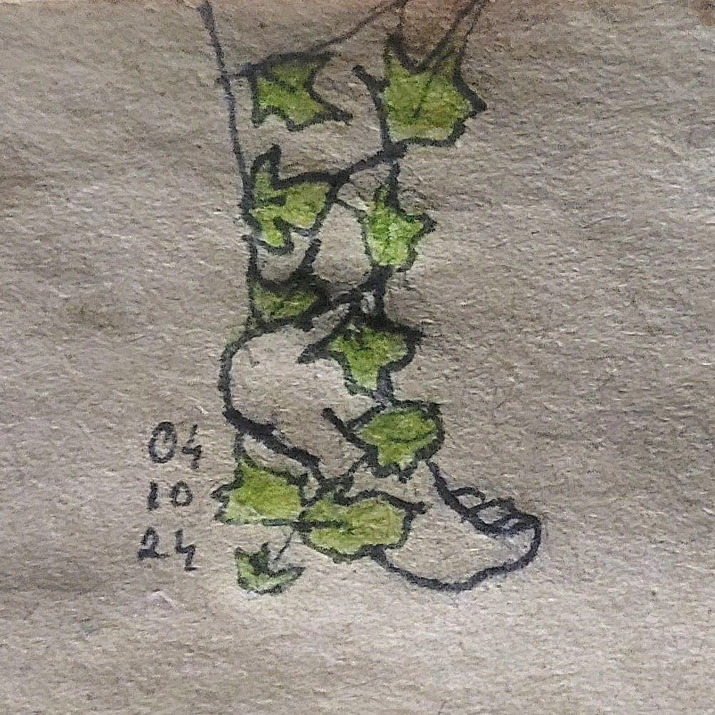 День 4. Плющ 🌱 - ліловий куточок на we.ua