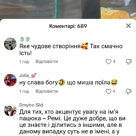 Ну хоч в коментарях всім добре від того що малючок поїв - 🌱 Веганський Тернопіль на we.ua
