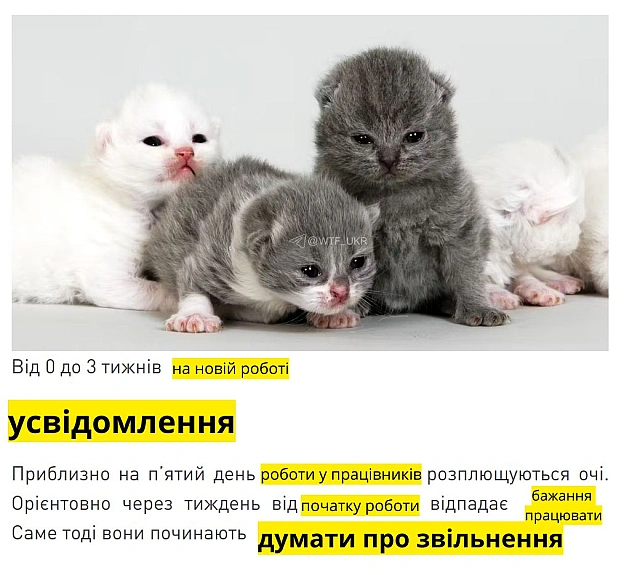 Британські вчені провели нове дослідження.Джерело.Telegram 🤬 | Twitter 💀https://twitter.com/whatafactukr - WTF! на we.ua