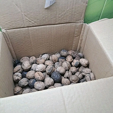 Ми отримуємо різну допомогу - на тижні добродії передали нам мед, також отримали грецькі горіхи. Ми звернулись за допомогою до ... - Волонтерська північ на we.ua