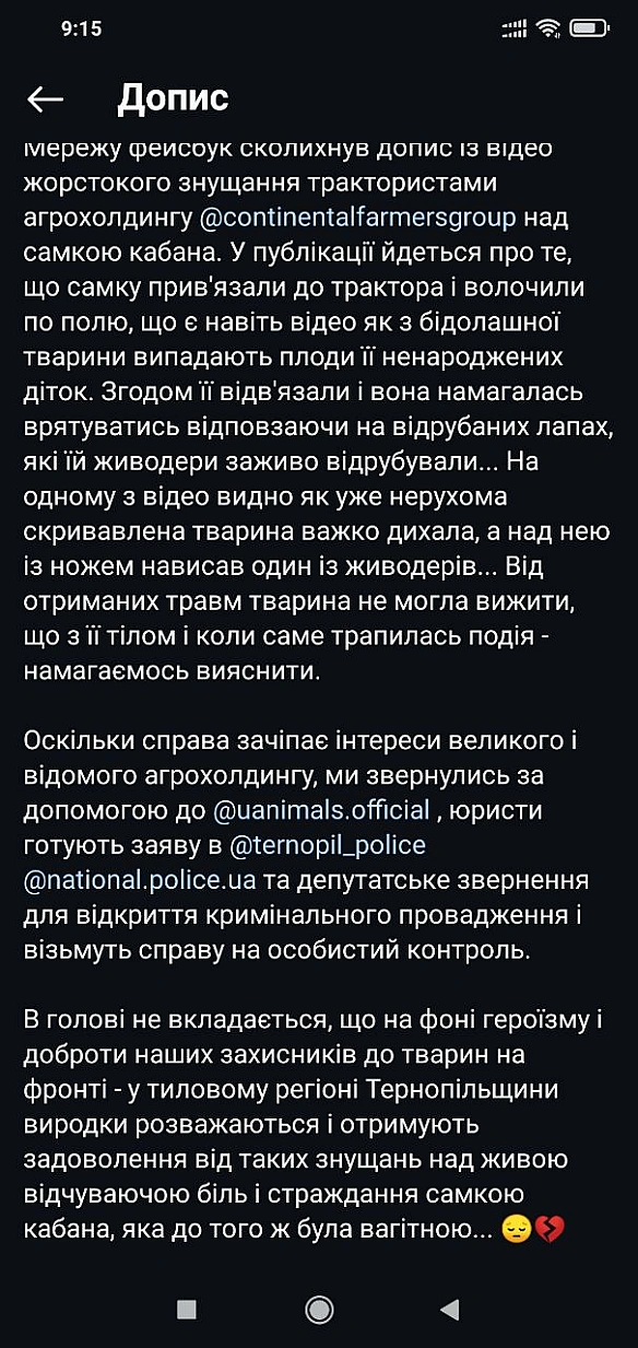 🌱 Веганський Тернопіль на we.ua