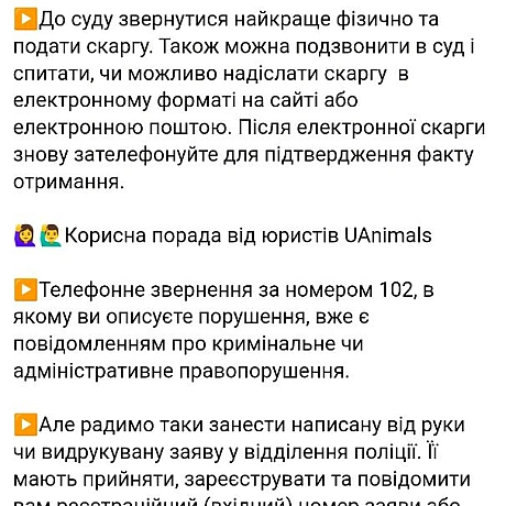 🌱 Веганський Тернопіль на we.ua