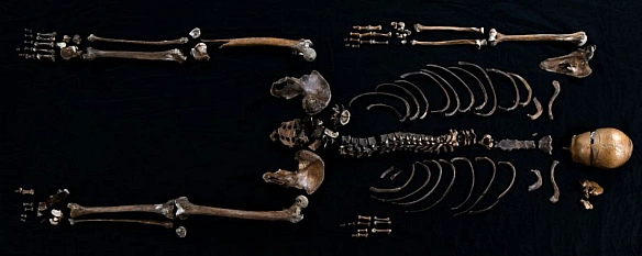 В Норвегії зроблено унікальне відкриття: вперше підтверджено останки персонажа скандинавської саги. Сага про Сверріса, оповідає ... - WAS на we.ua