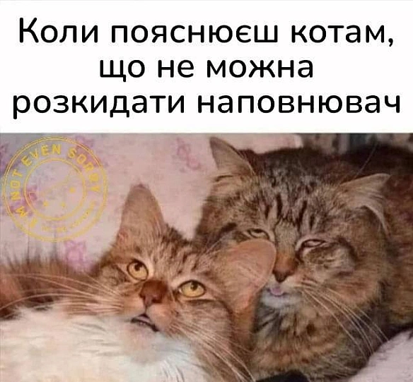 Кардинальний Рішельє на we.ua