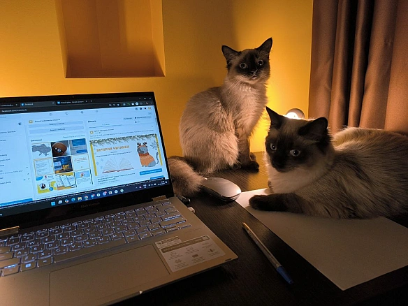 Це Міф і Мрія. Вони були дуже-дуже чемні. І я теж була чемна (ну, майже). Ми з ними разом збираємо гроші на книжку про українськ... - Давай займемось текстом on we.ua