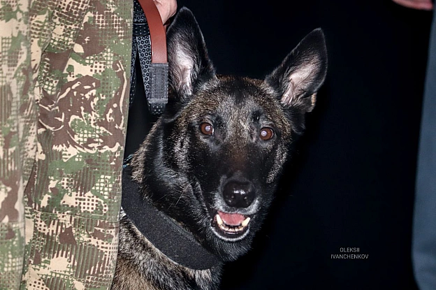Друга церемонія нагородження \