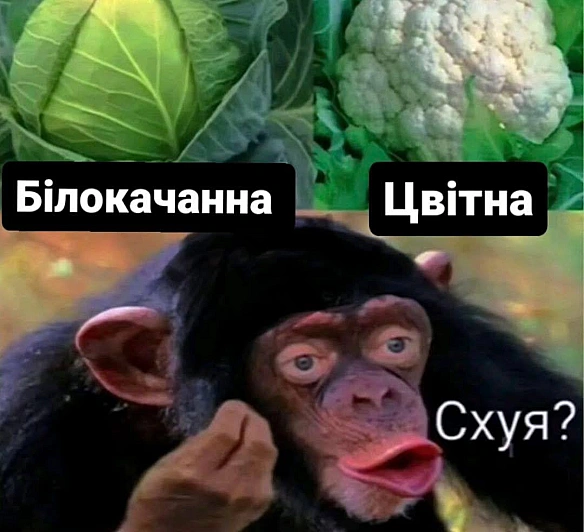 Кардинальний Рішельє на we.ua